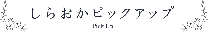 しらおかピックアップ Pick Up